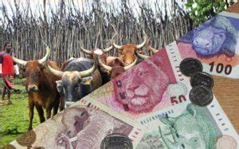 Nguni Moola Traditional Investments LSP Group